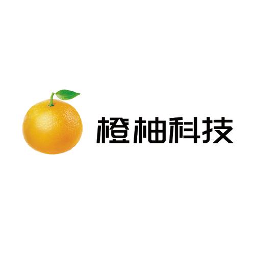 技术推广,技术转让,技术咨询,技术服务;销售自行开发后的产品;产品